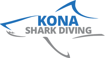 An image of the Kona Shark Diving logo with a shark outline and the words Kona Shark Diving